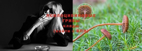 прущие грибы Алзамай
