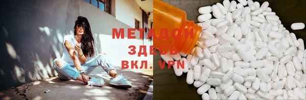 прущие грибы Алзамай