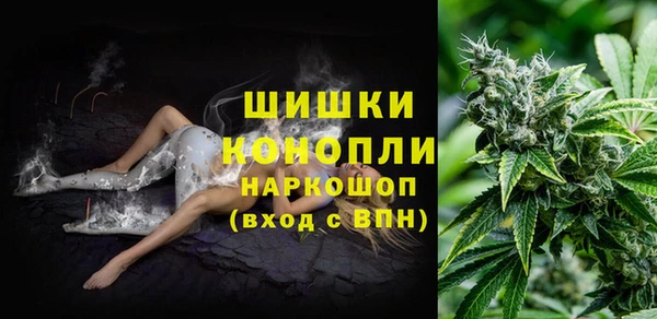 прущие грибы Алзамай