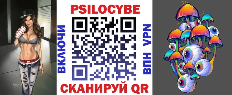 Псилоцибиновые грибы Psilocybe Камышин